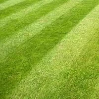 General Purpose Grass Seed 20kg