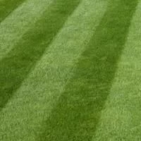 Luxury Grass Seed 10kg