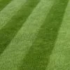 Luxury Grass Seed 2kg -Garden Goodies Shop Luxury Grass Seed 2kg