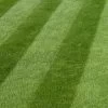 Luxury Grass Seed 5kg -Garden Goodies Shop Luxury Grass Seed 5kg