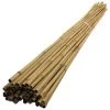 4ft Bamboo Canes - Pack Of 250 -Garden Goodies Shop bamboo canes 3