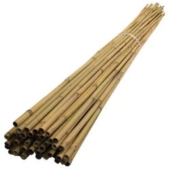 4ft Bamboo Canes - Pack Of 250