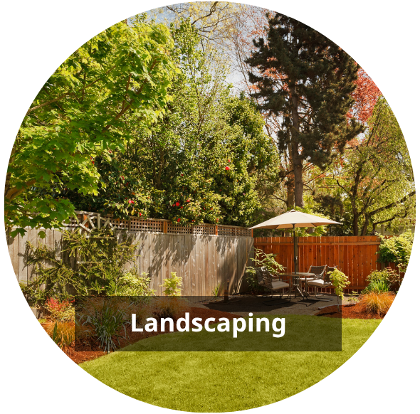 Garden Goodies Shop -Garden Goodies Shop Hydrangeas 8